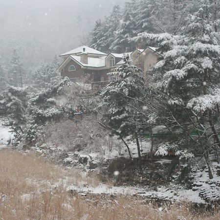 Mir Pension Gapyeong Bagian luar foto