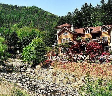 Mir Pension Gapyeong Bagian luar foto